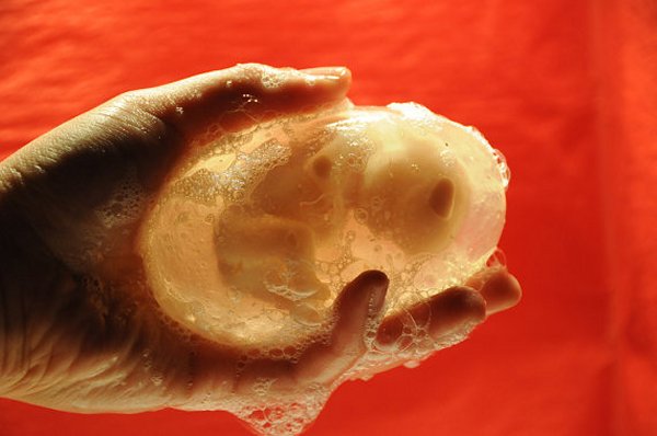 fetus soap