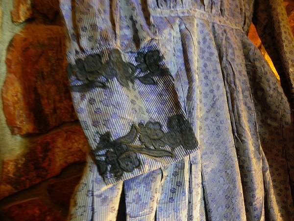 haunted victorian dress