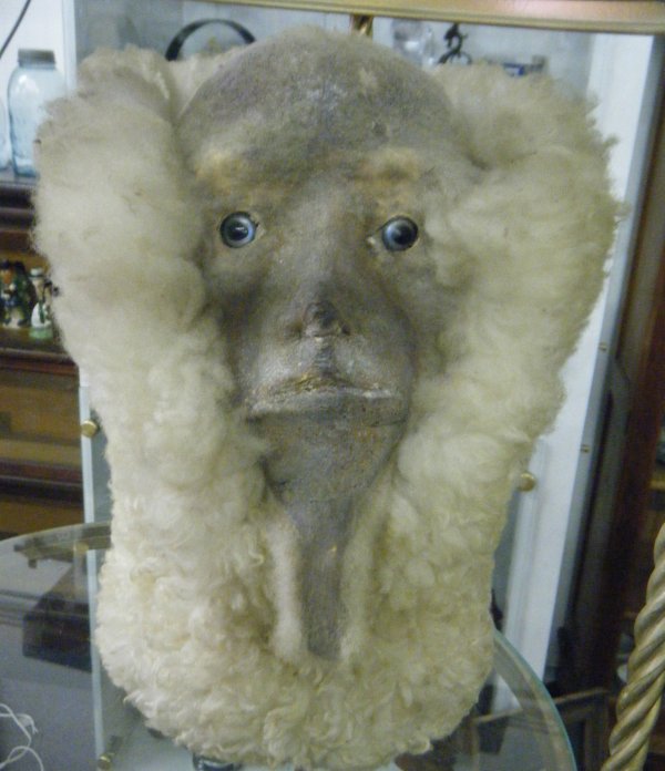 Sheep Butt Alien Head