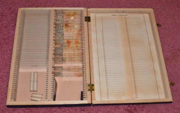 Dexter Morgans slide box