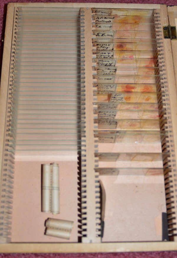 Dexter Morgans slide box