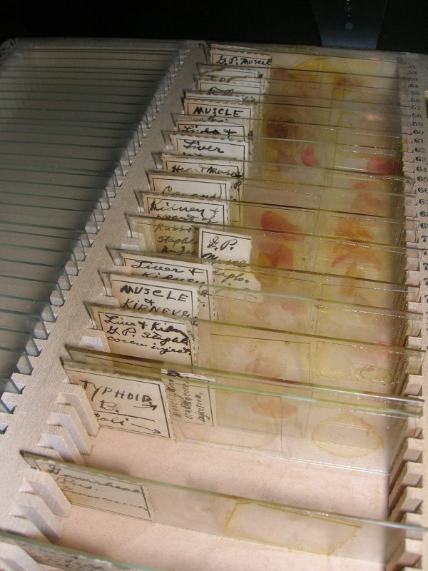 Dexter Morgans slide box