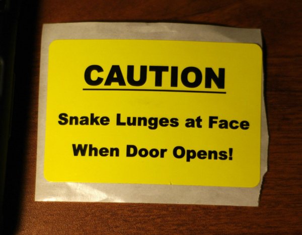 snake sticker