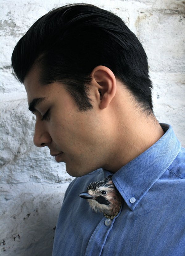 bird bow tie