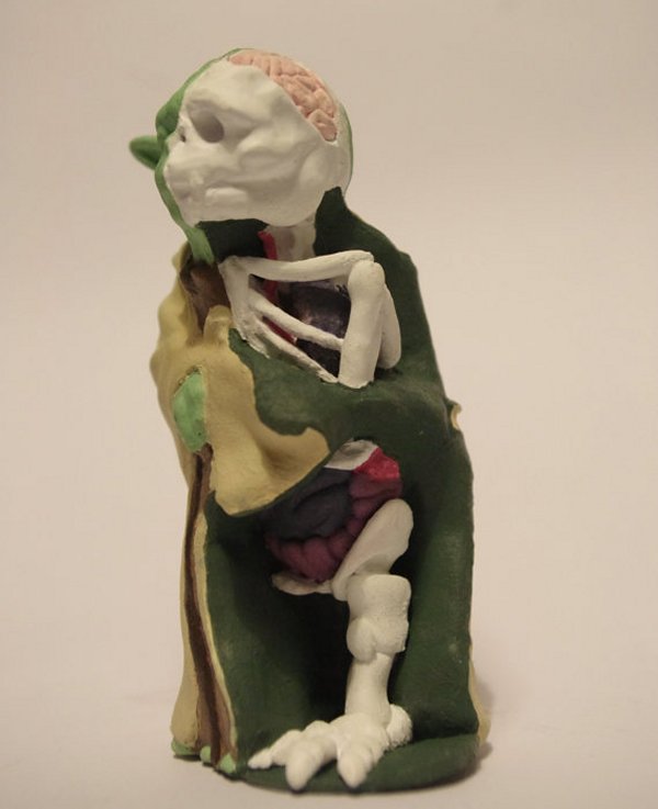 yoda anatomy