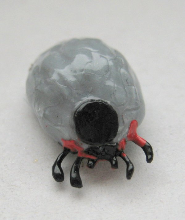 tick earrings