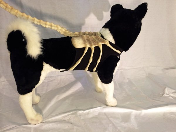 alien face hugger dog leash