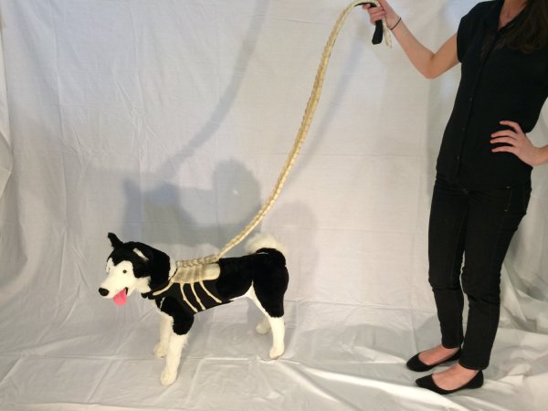 alien face hugger dog leash