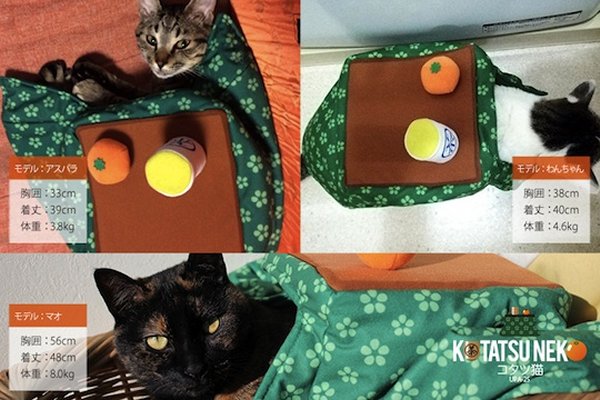 cat table