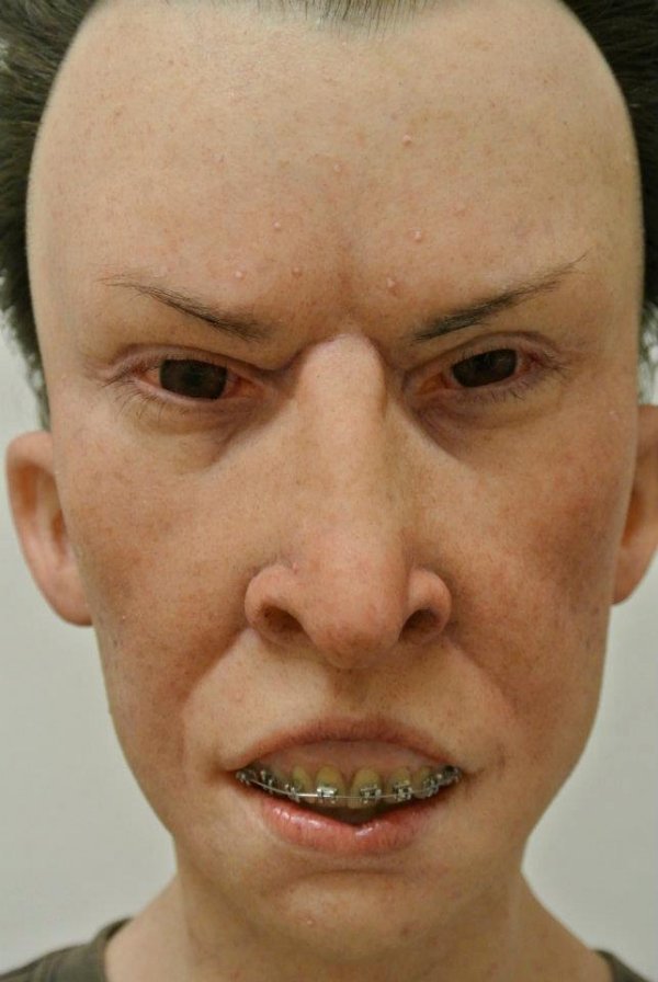 beavis butthead