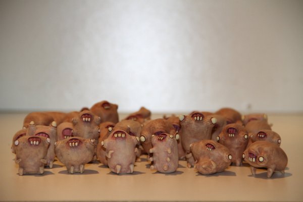 fetusoids