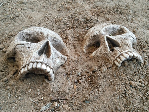 skull garden stone