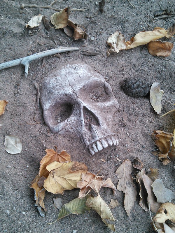 skull garden stone