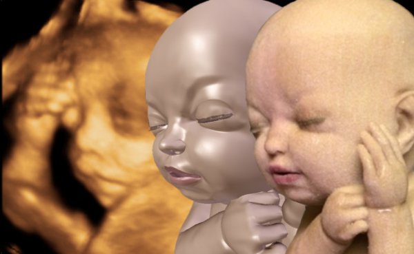 3D printed baby