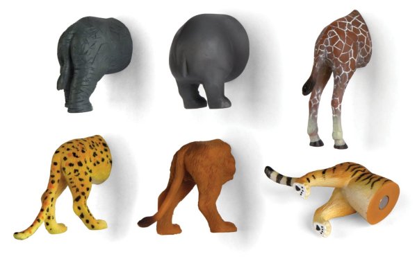 animal butt magnets