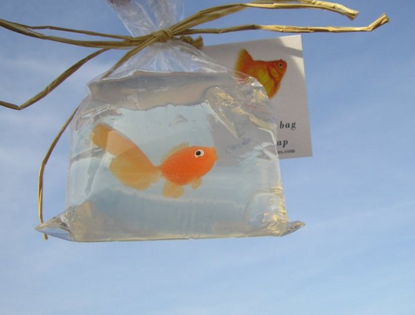 fish in a bag soap