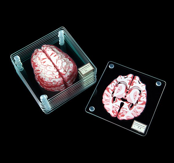 brain specimen drink coasters