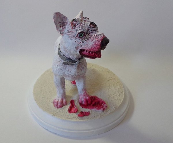 creepy five eyed mutant dog