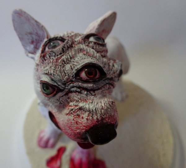 creepy five eyed mutant dog