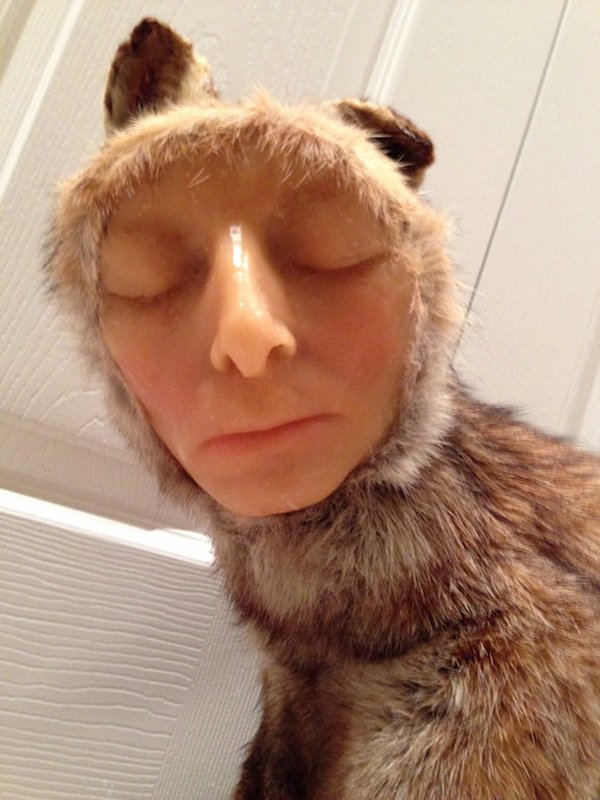 fox taxidermy with human face