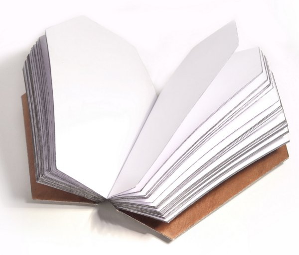 Leather Coffin Journal
