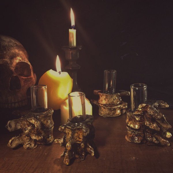 Vertebrae Shot Glasses