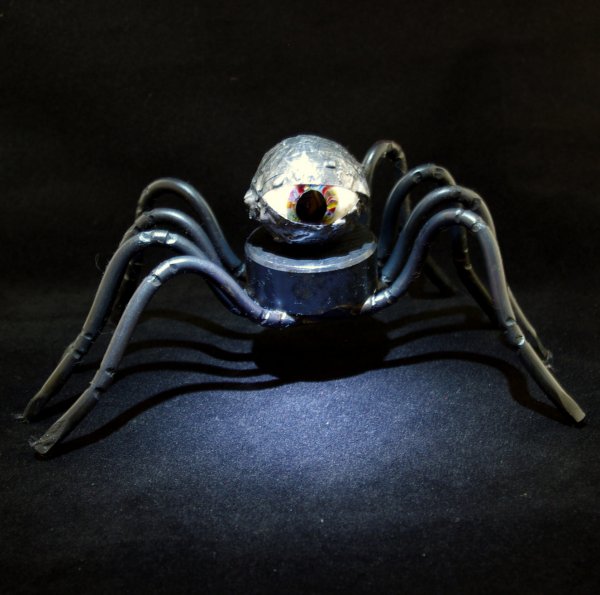 Walking Eyeball Spider