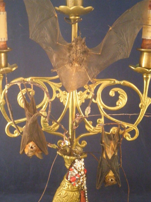 taxidermy bat candelabra