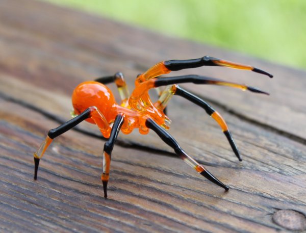 Blown Glass Spiders