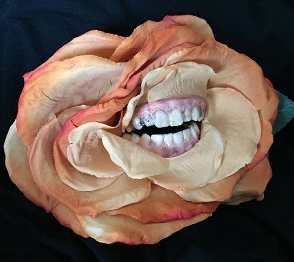 Rotten Roses Have Teeth And Eyes