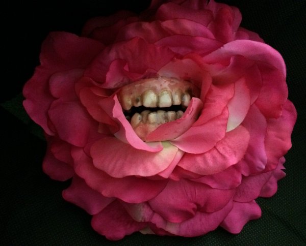 Rotten Roses Have Teeth And Eyes