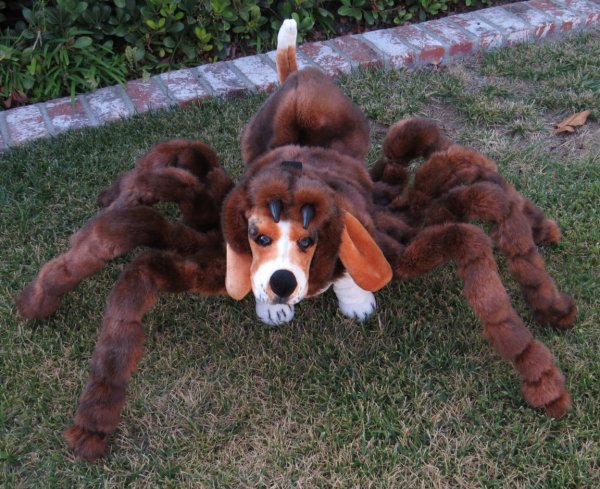 creepy halloween pet costumes 3