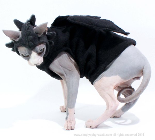 creepy halloween pet costumes