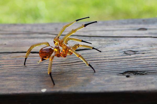glass spider