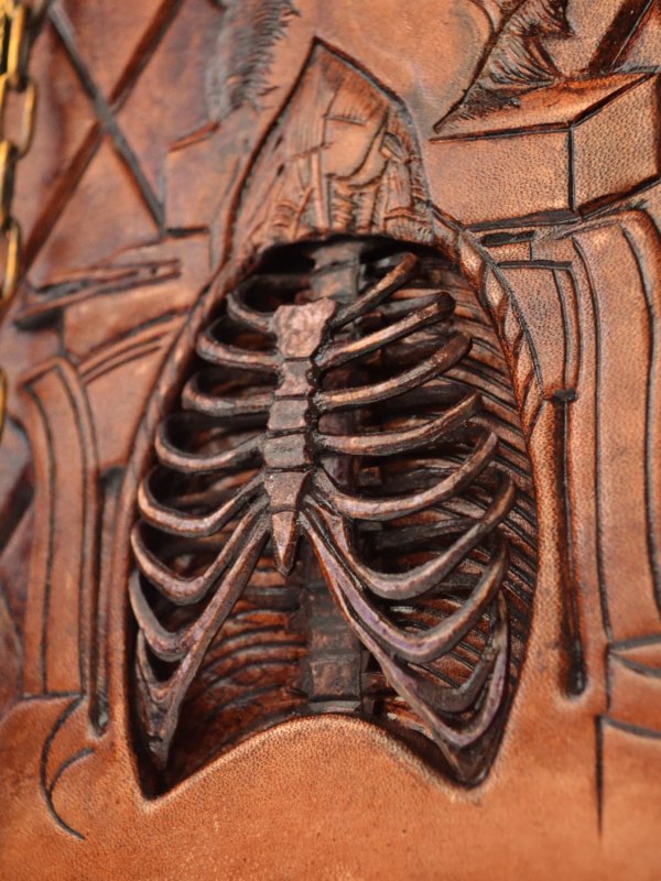 Anatomia Humani Corporis Renaissance Anatomical Sketchbook