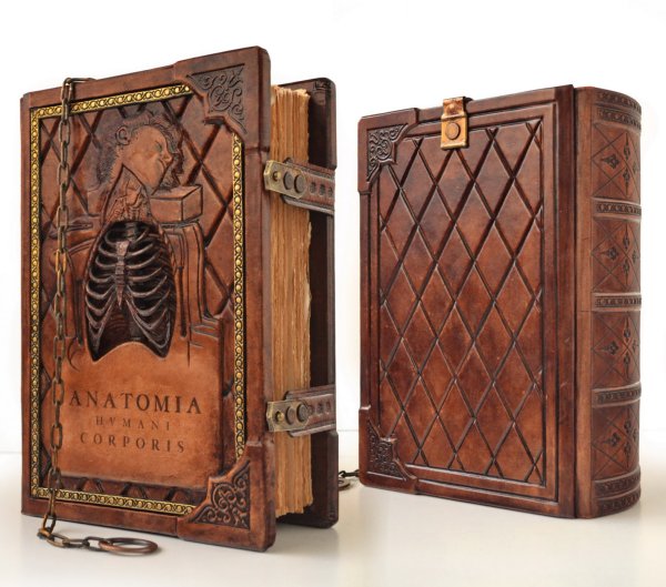 Anatomia Humani Corporis Renaissance Anatomical Sketchbook