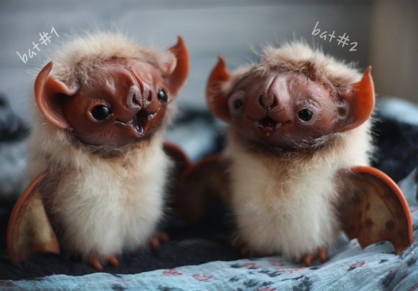 Cute And Creepy Little Winter Bats