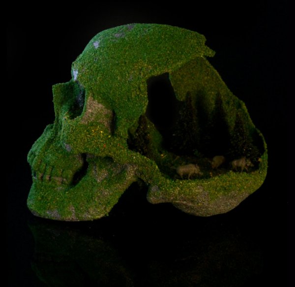 Colorful Embellished Human Skull Replicas