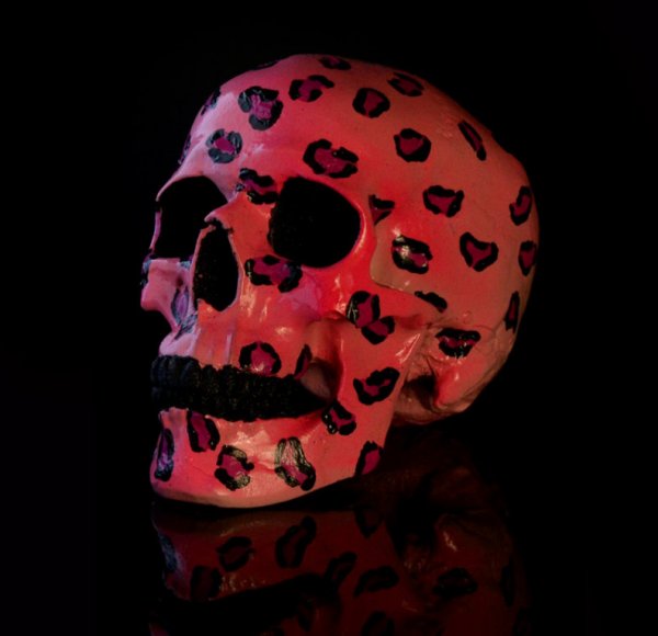 Colorful Embellished Human Skull Replicas