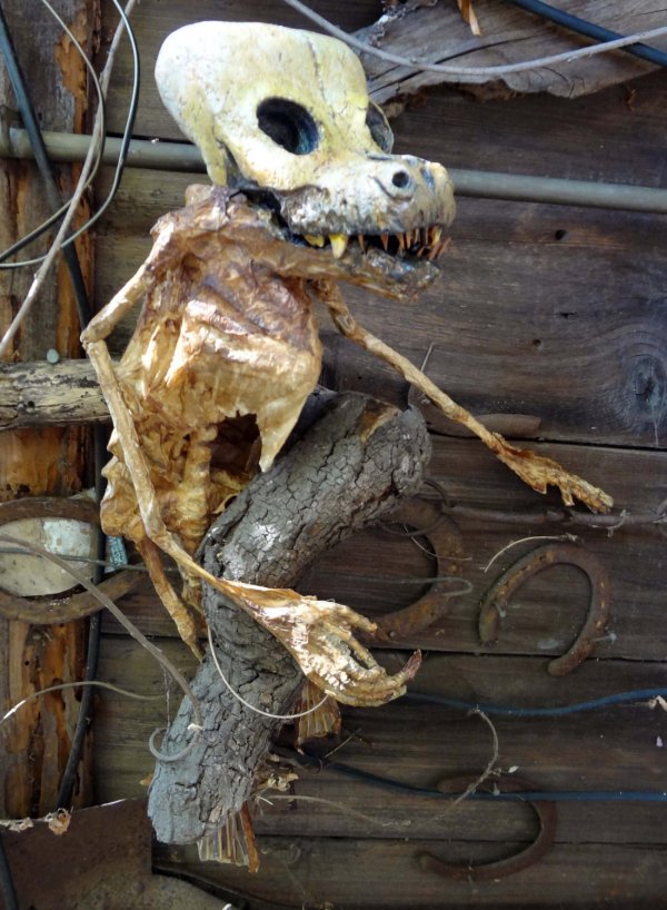 Alien Space Dog Remains