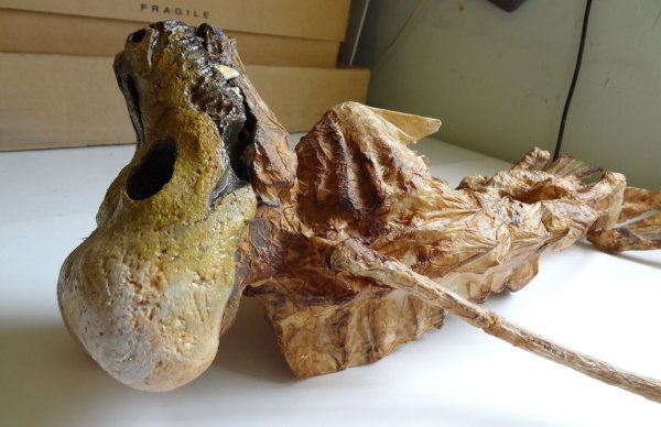 Alien Space Dog Remains