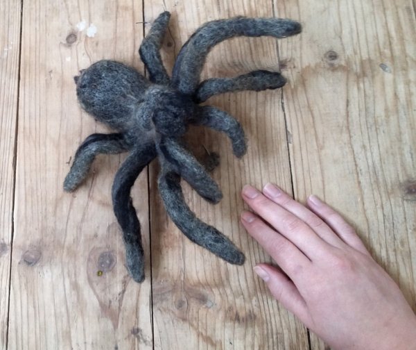 This Needle Felted Tarantula Is Scary, Hairy Too
