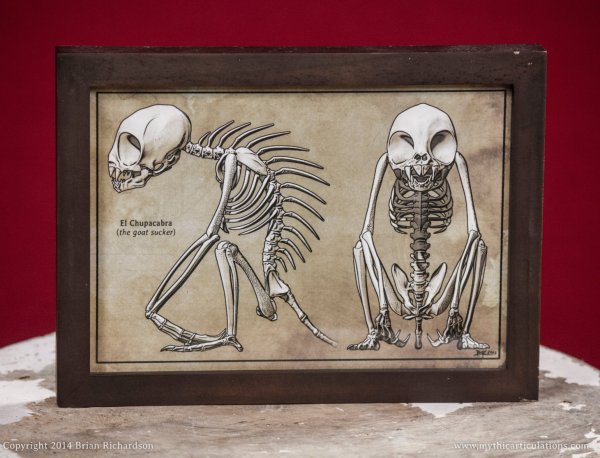 Chupacabra Skeleton Faux-Scientific Print