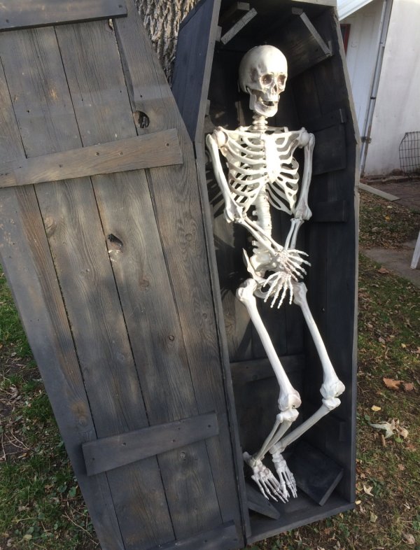 Life Sized Coffin With Skeleton