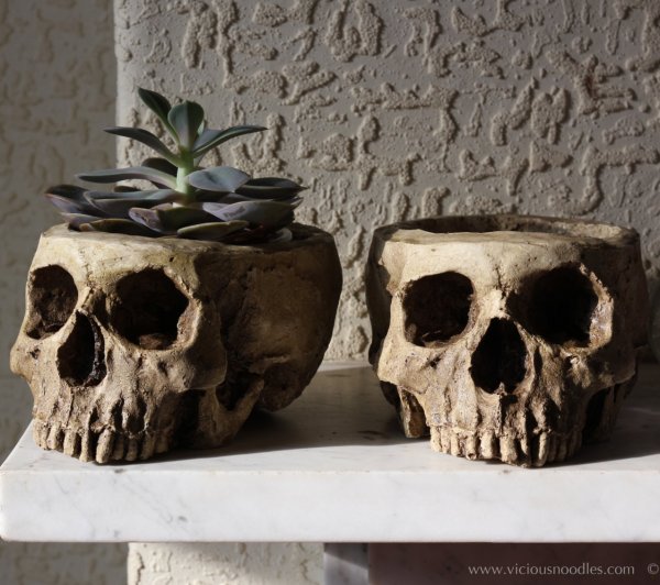 Morbid Decor Human Skull Planter
