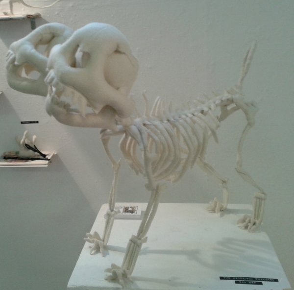 Sewn Bones Plush Animal Skeletons