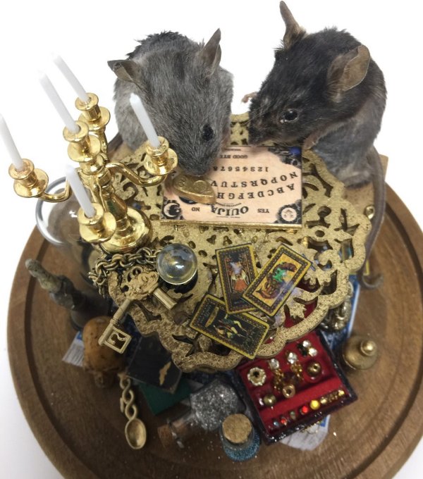 Taxidermied Mice Having A Seance