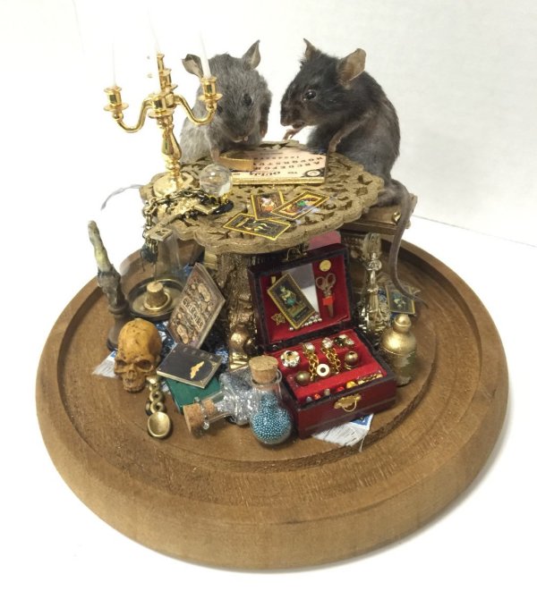 Taxidermied Mice Having A Seance