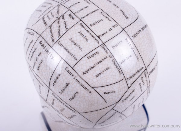 Vintage Phrenology Head