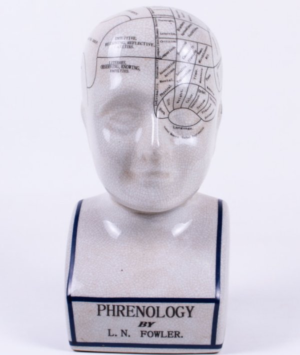 Vintage Phrenology Head